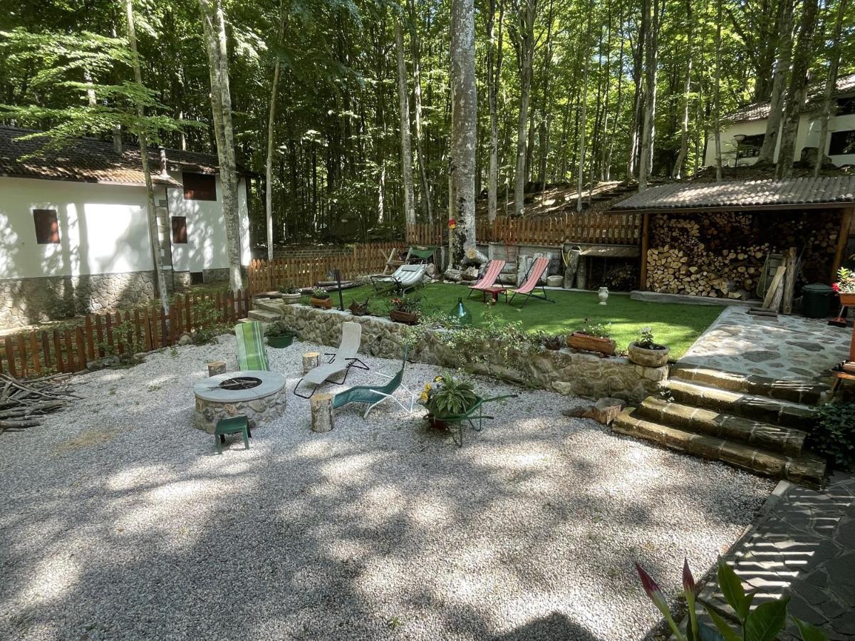 Апартаменты Chalet I Folletti Аббадиа Сан Сальваторе Экстерьер фото