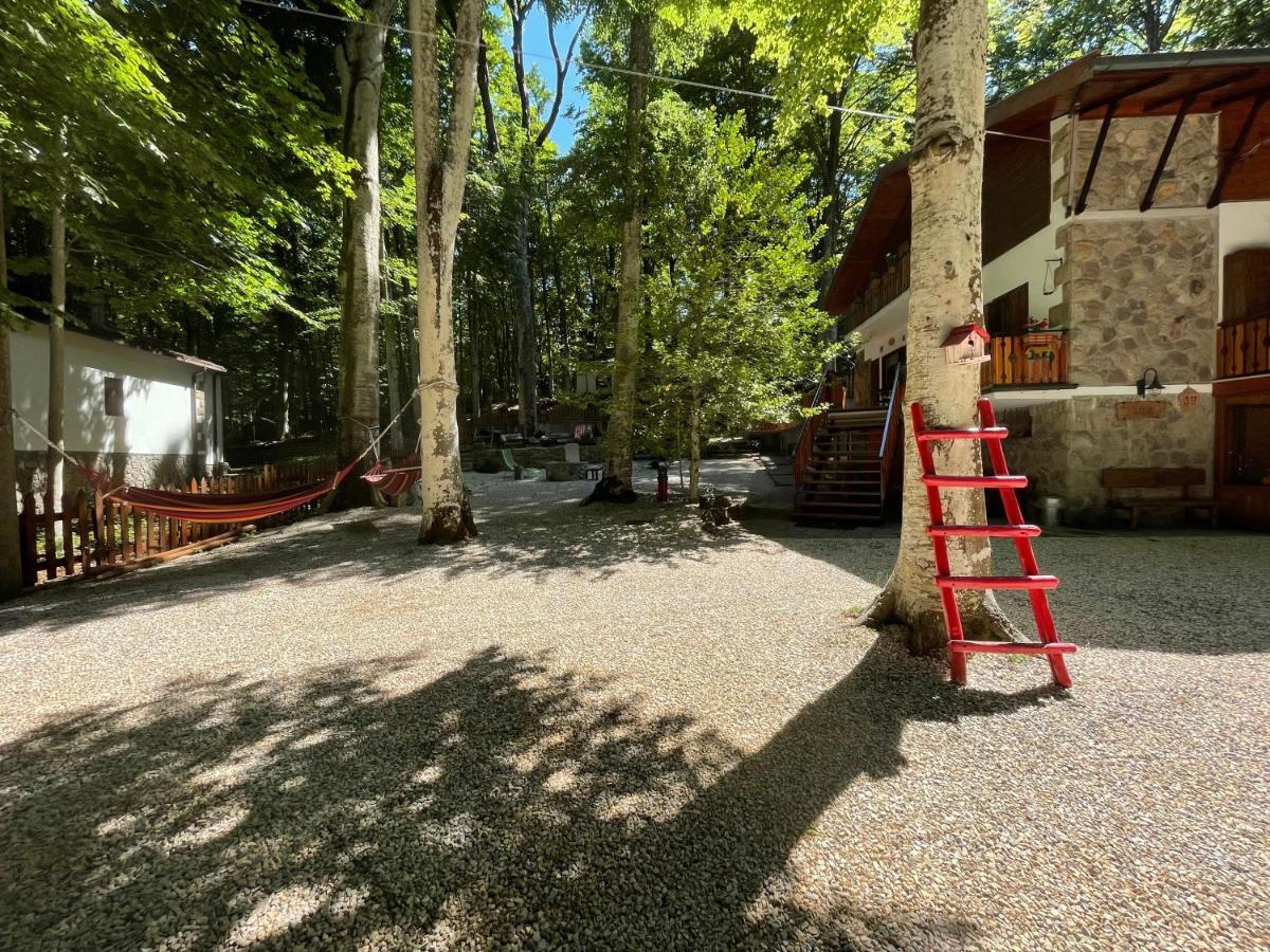 Апартаменты Chalet I Folletti Аббадиа Сан Сальваторе Экстерьер фото