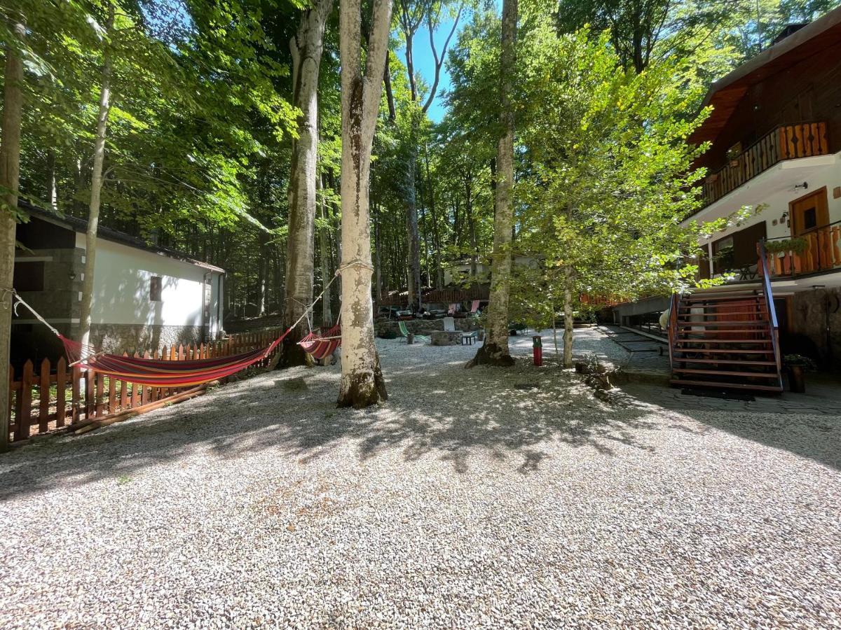 Апартаменты Chalet I Folletti Аббадиа Сан Сальваторе Экстерьер фото