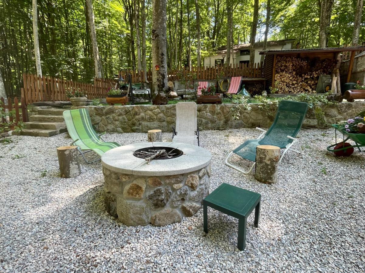 Апартаменты Chalet I Folletti Аббадиа Сан Сальваторе Экстерьер фото