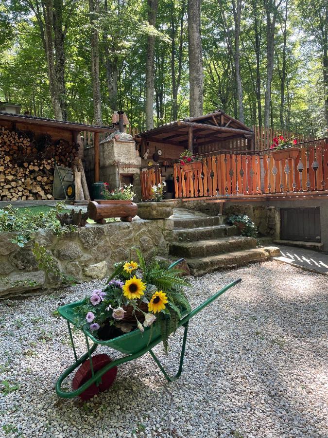 Апартаменты Chalet I Folletti Аббадиа Сан Сальваторе Экстерьер фото